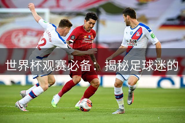 世界杯观赛必备：揭秘足球迷的“支持”表达法