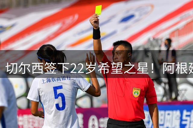 切尔西签下22岁希望之星！阿根廷中场新势力，内部人员调动很划算