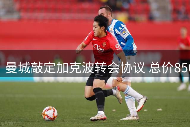 曼城敲定加克波转会协议 总价8500万镑签5年合约