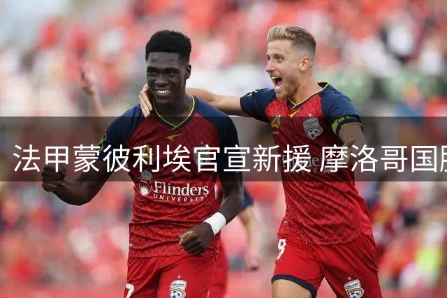 法甲蒙彼利埃官宣新援 摩洛哥国脚汉纳赫租借助力保级